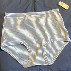 NWT Small Aerie High-Waist Cotton Briefs in Light Blue and White